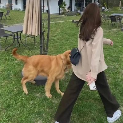 无名夫人